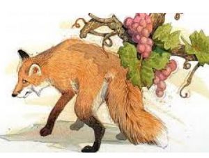 fox and grapes fable