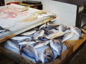 aegina-town-fishmarket