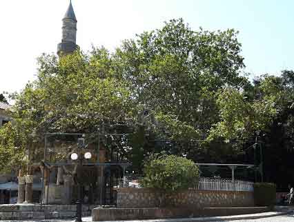 What to see in Kos, archaeological sites and castles