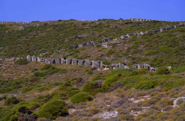 paleopolis-andros