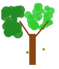 oak-tree