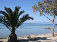 isola Egina