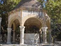 il platano di Ipokratte