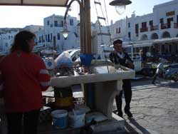 Mykonos pescheria